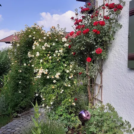 Apartment Gaestehaus Petersen Reit im Winkl